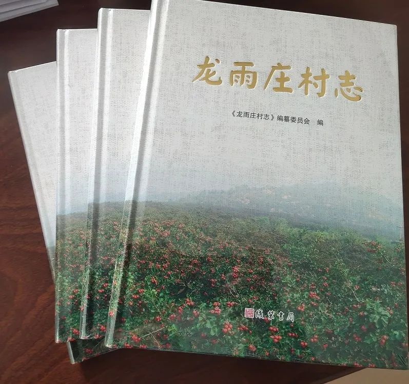 山东黄氏印务有限公司设计印刷的费县《龙雨庄村志》 出版发行