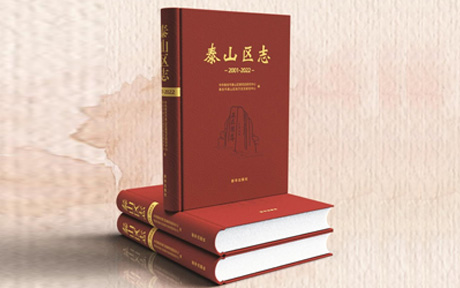《泰山区志（2001--2022）》