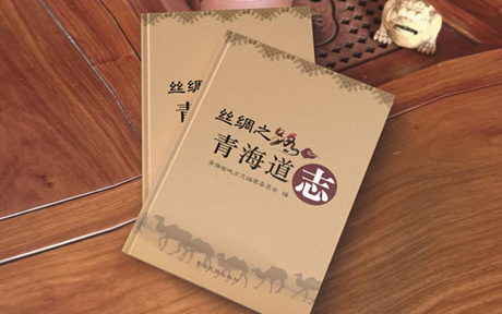 《丝绸之路——青海道志》