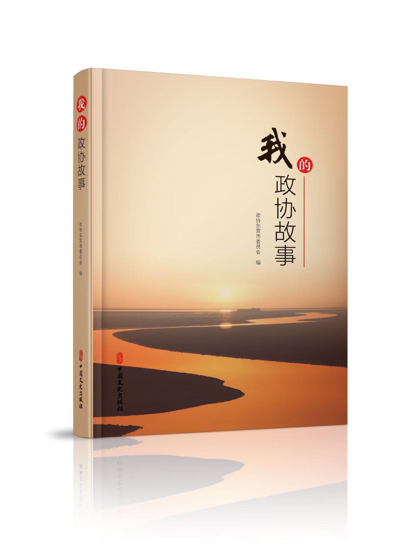 《我的政协故事》